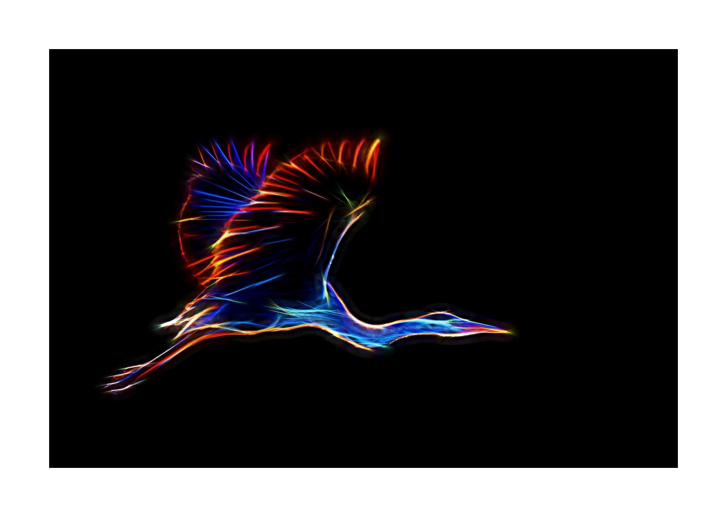 fusion/001-oiseaux-de-la-dombes/fr/06-oiseaux-de-la-dombes-220517DOMWLD1242F