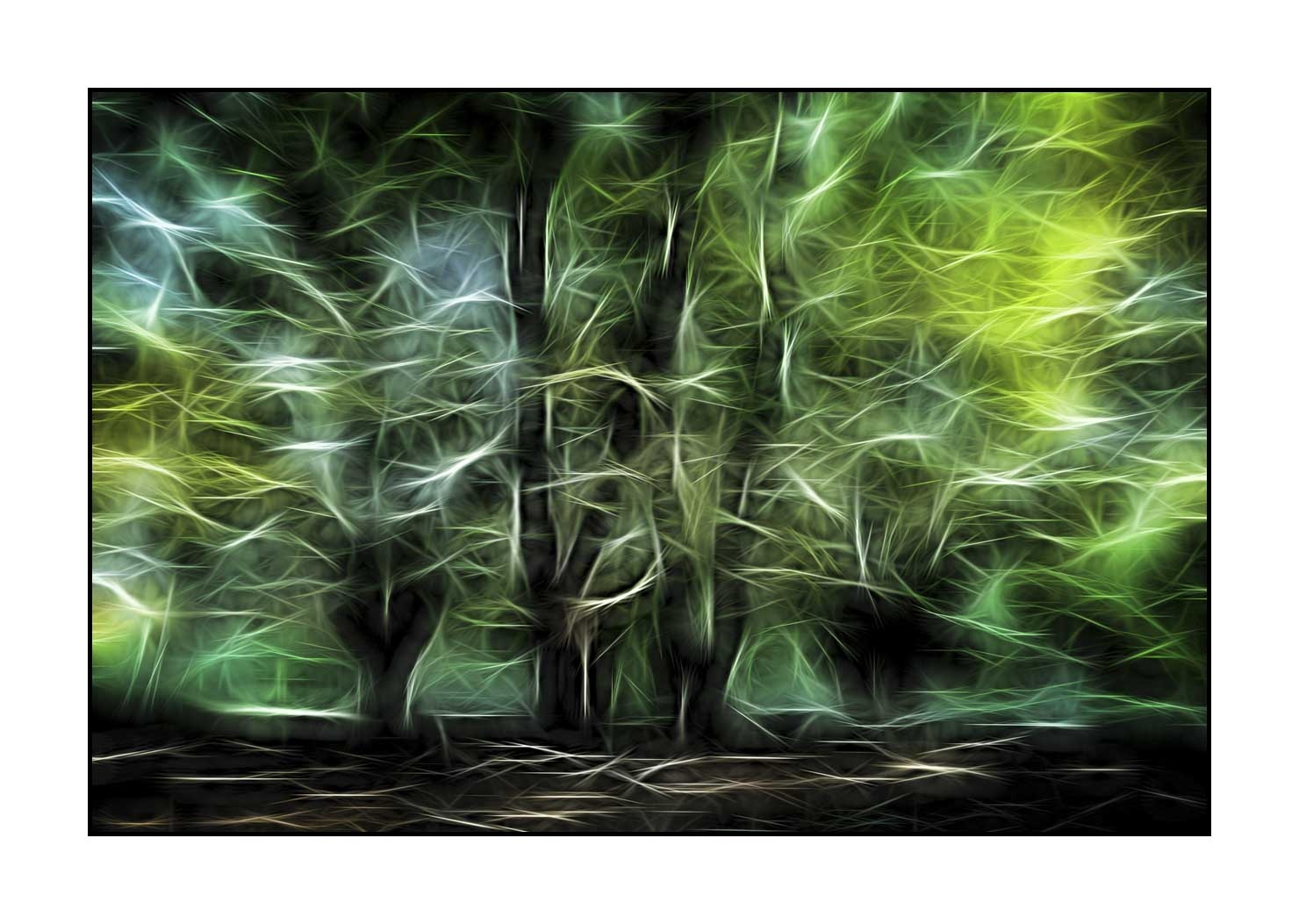 fusion/002-arbres-et-sous-bois/en/01-trees-undergrowth-in-fusion-1676-32F