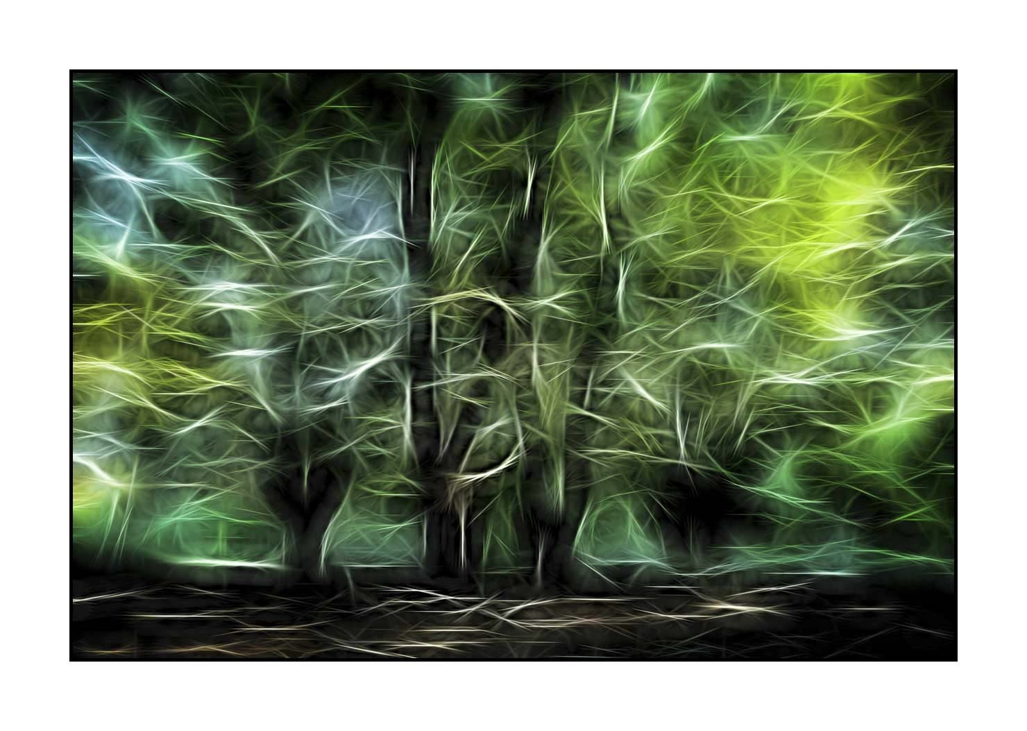 fusion/002-arbres-et-sous-bois/fr/01-arbres-sous-bois-en-fusion-1676-32F