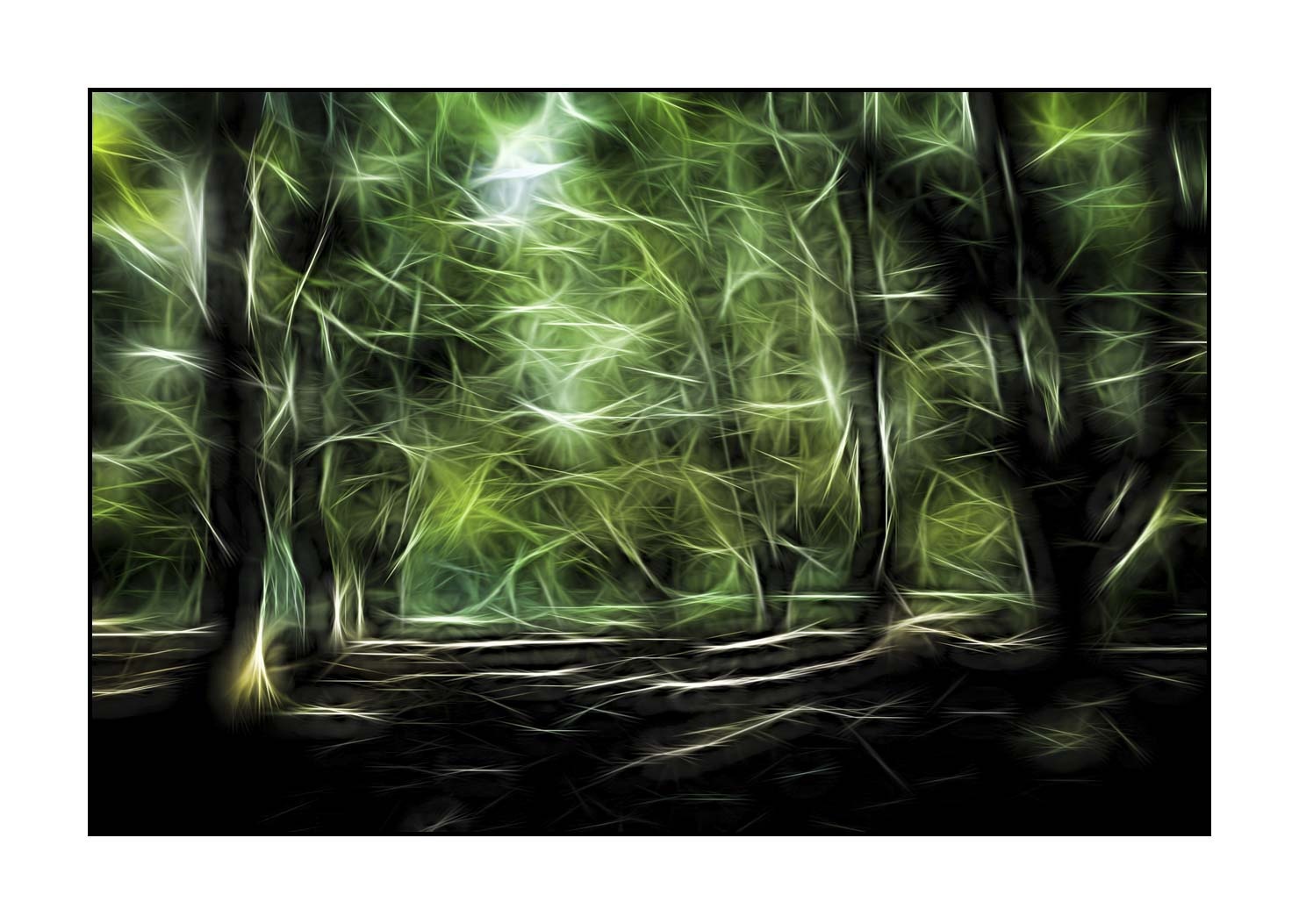 fusion/002-arbres-et-sous-bois/fr/02-arbres-sous-bois-en-fusion-1677-32F