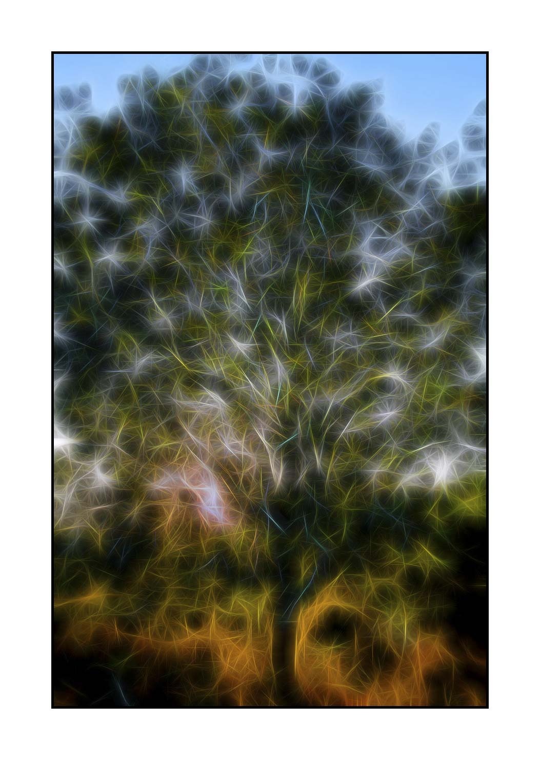 fusion/002-arbres-et-sous-bois/fr/08-arbres-sous-bois-en-fusion-1683-32F