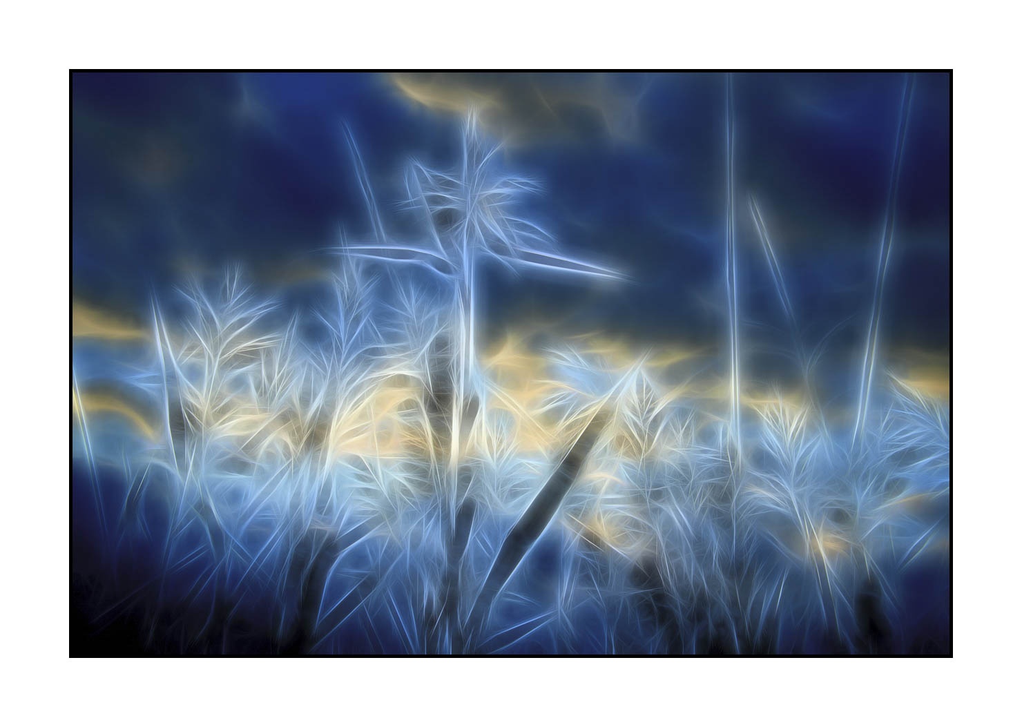 fusion/003-bords-des-etangs/en/02-bank-pond-in-fusion-1685-32F