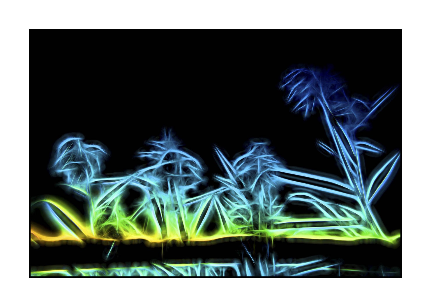 fusion/003-bords-des-etangs/en/03-bank-pond-in-fusion-1686-32F