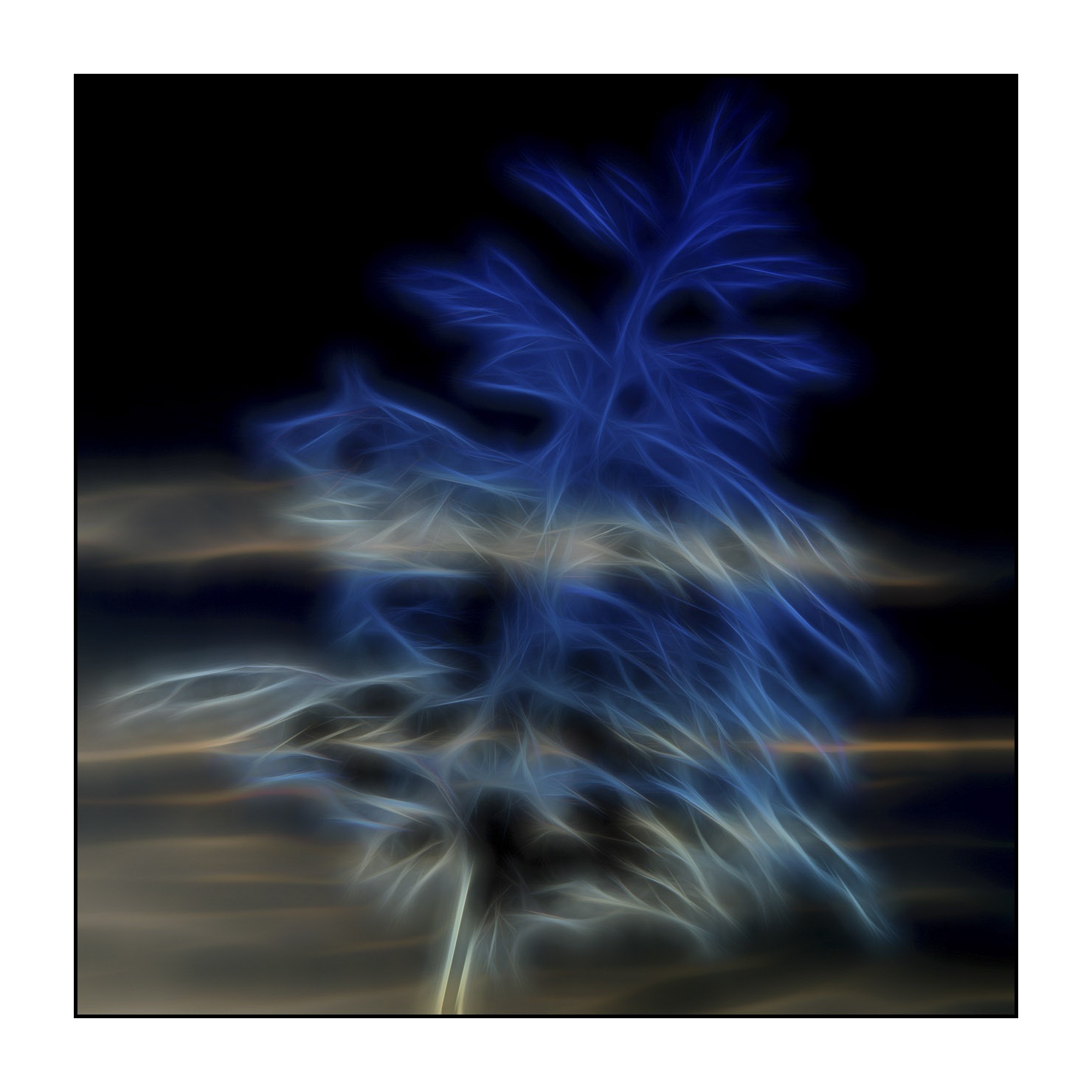 fusion/003-bords-des-etangs/en/05-bank-pond-in-fusion-1688-11F