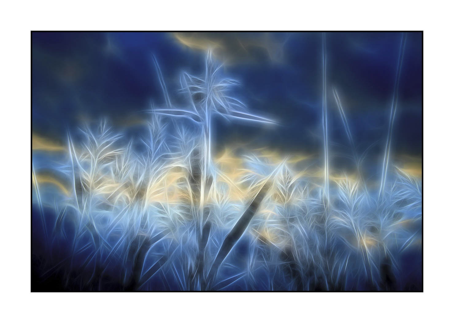 fusion/003-bords-des-etangs/fr/02-bords-etang-en-fusion-1685-32F