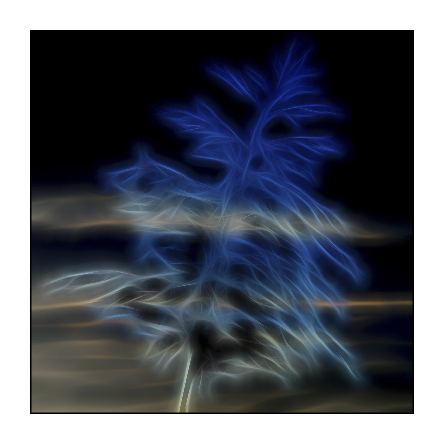 fusion/003-bords-des-etangs/fr/05-bords-etang-en-fusion-1688-11F