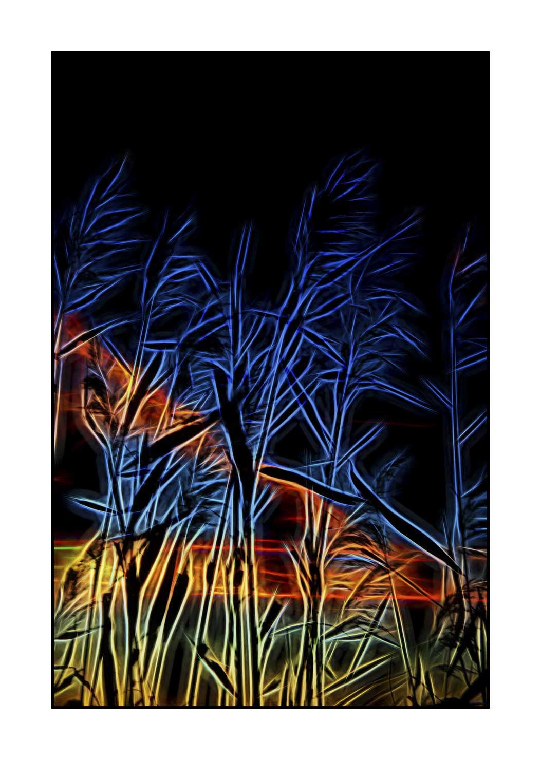 fusion/003-bords-des-etangs/fr/07-bords-etang-en-fusion-1690-32F
