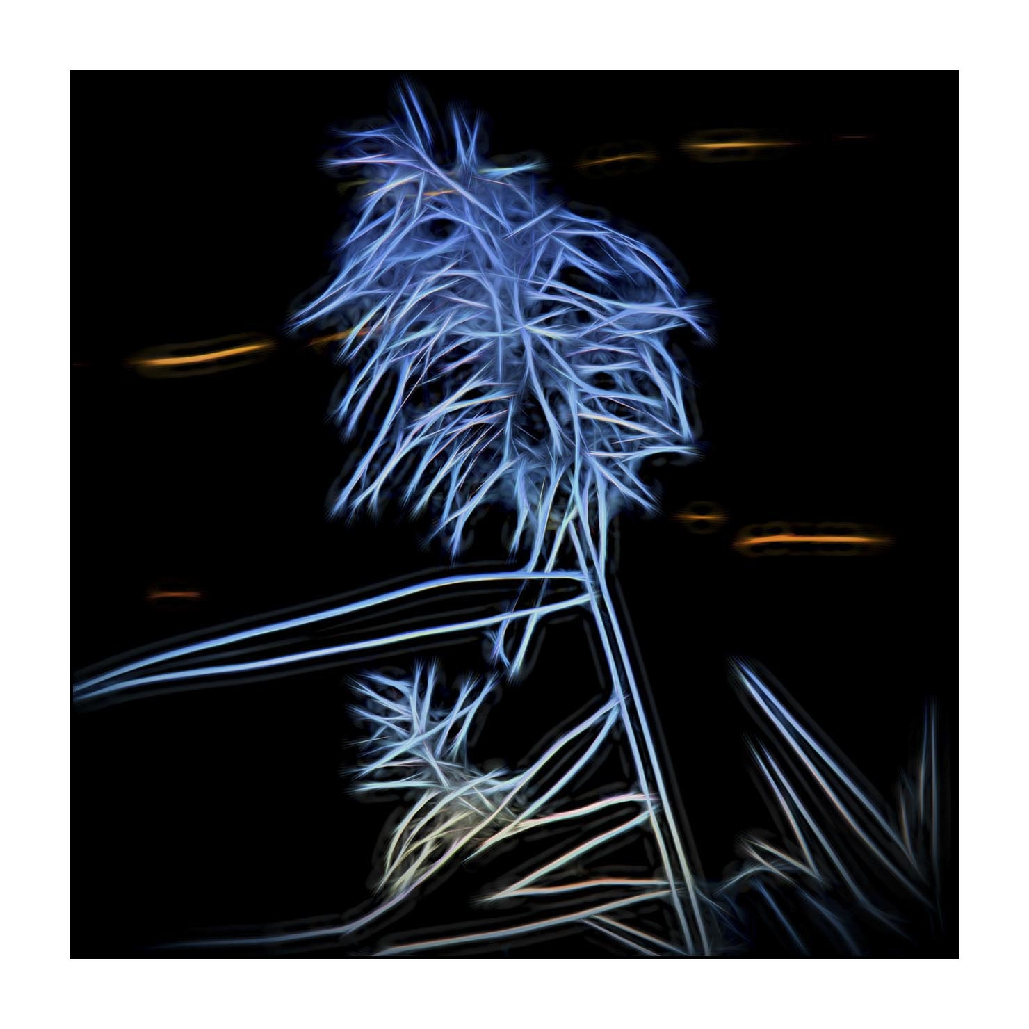 fusion/003-bords-des-etangs/fr/08-bords-etang-en-fusion-1691-11F