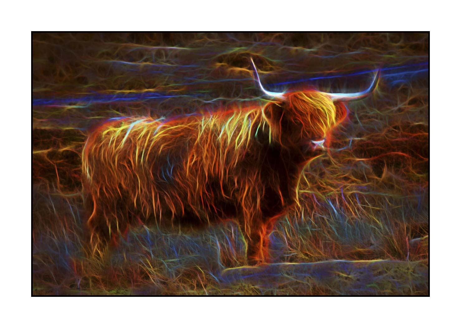 fusion/004-vaches-highland/fr/01-vache-highland-en-fusion-1754-32F