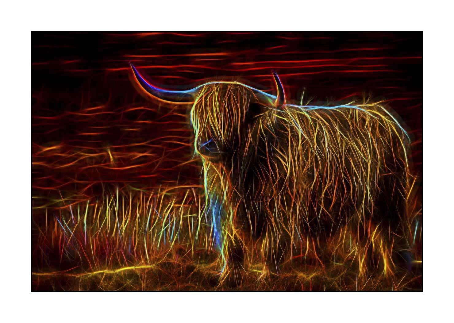 fusion/004-vaches-highland/fr/02-vache-highland-en-fusion-1755-32F