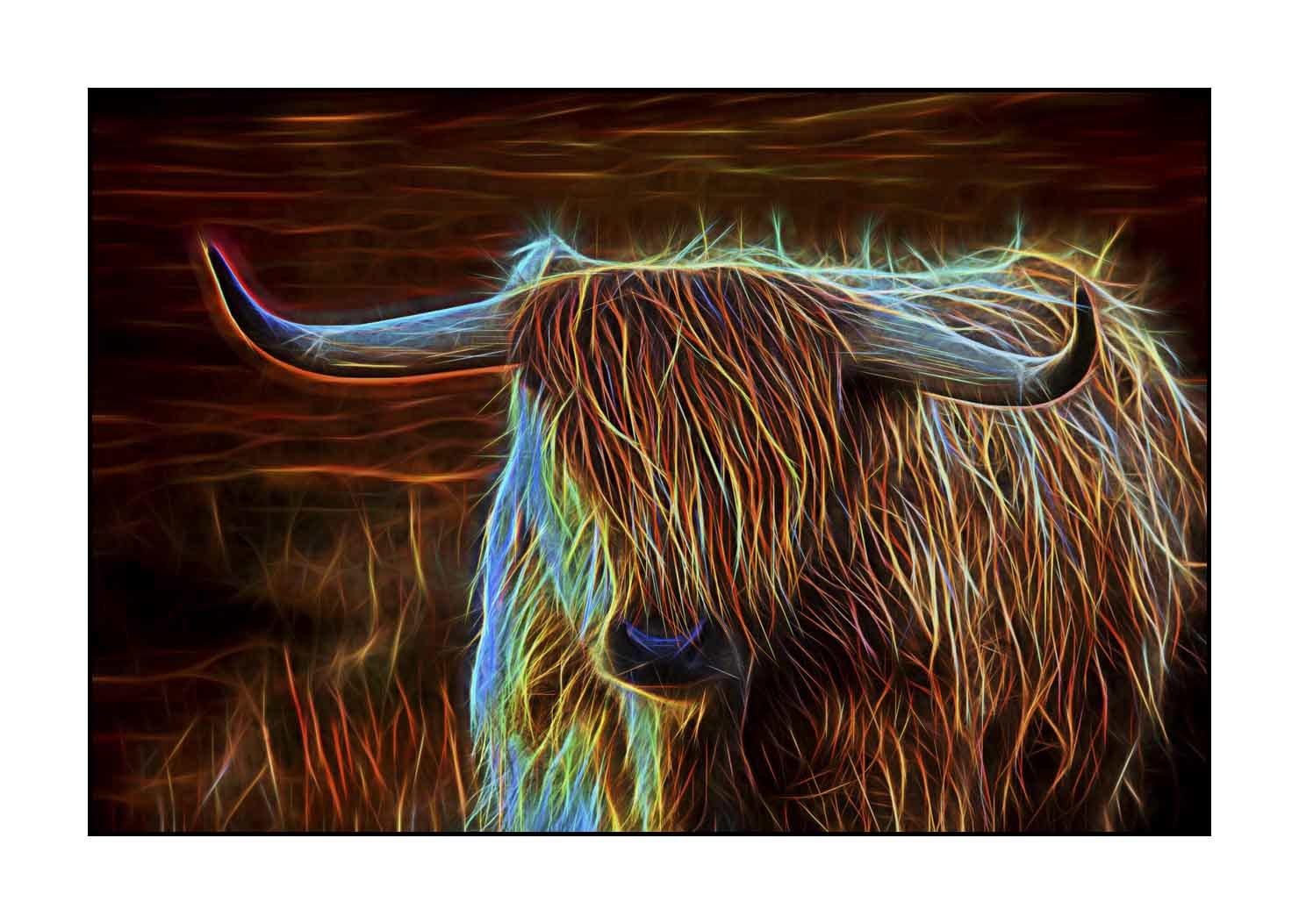 fusion/004-vaches-highland/fr/03-vache-highland-en-fusion-1756-32F