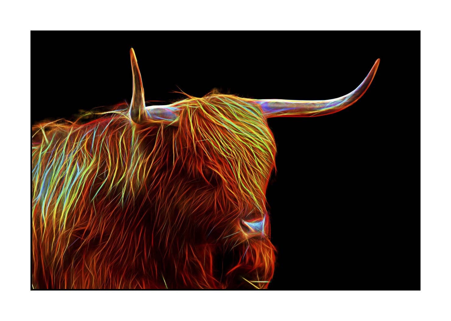 fusion/004-vaches-highland/fr/05-vache-highland-en-fusion-1758-32F