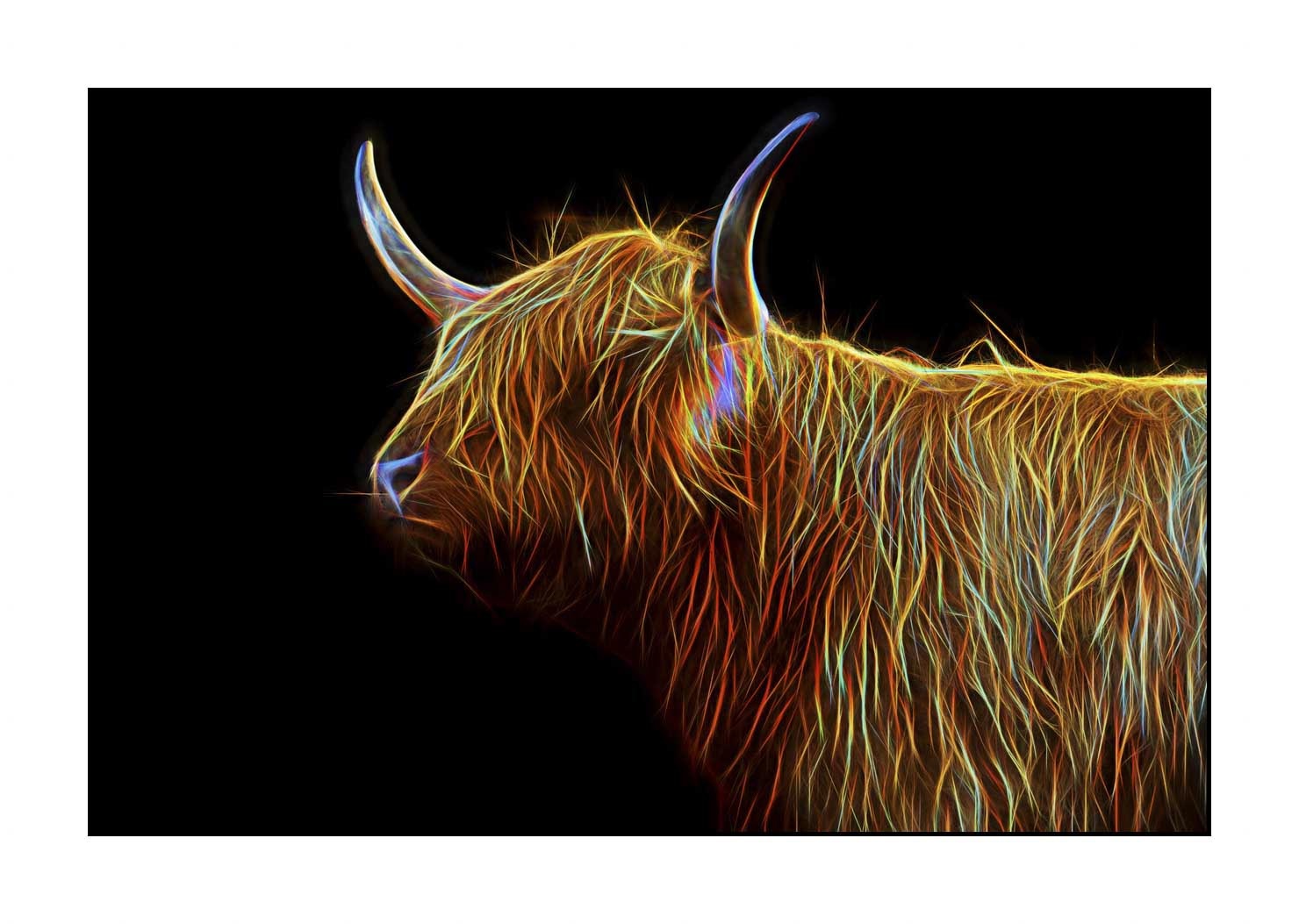fusion/004-vaches-highland/fr/06-vache-highland-en-fusion-1759-32F