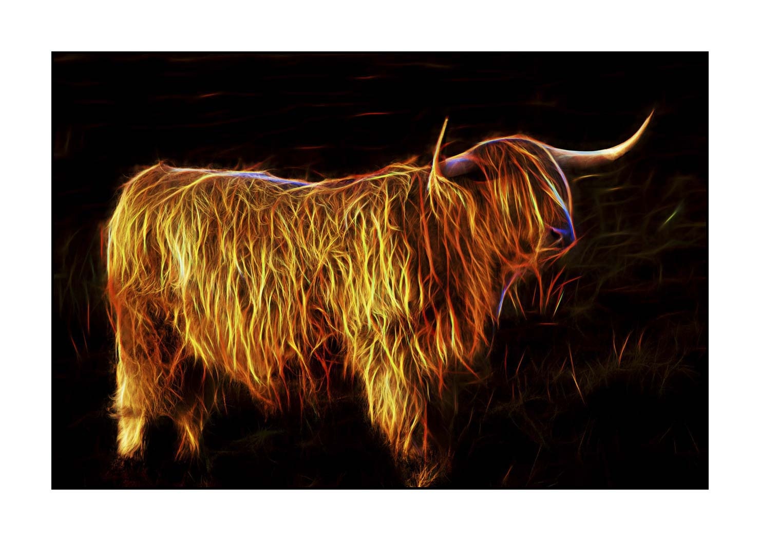 fusion/004-vaches-highland/fr/07-vache-highland-en-fusion-1760-32F