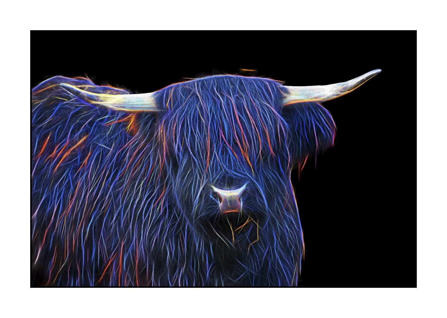 fusion/004-vaches-highland/fr/08-vache-highland-en-fusion-1761-32F