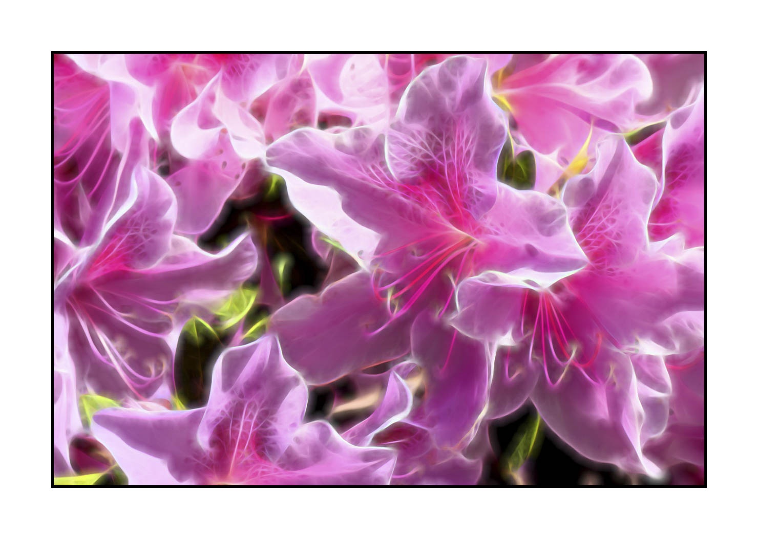 fusion/005-le-printemps/en/05-spring-fusion-1905-32F