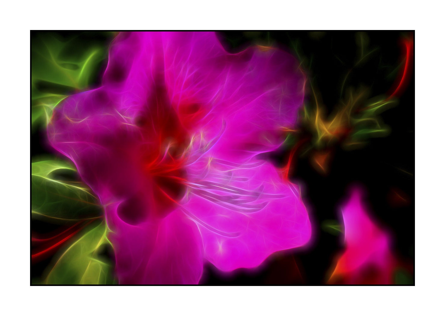 fusion/005-le-printemps/en/08-spring-fusion-1908-32F