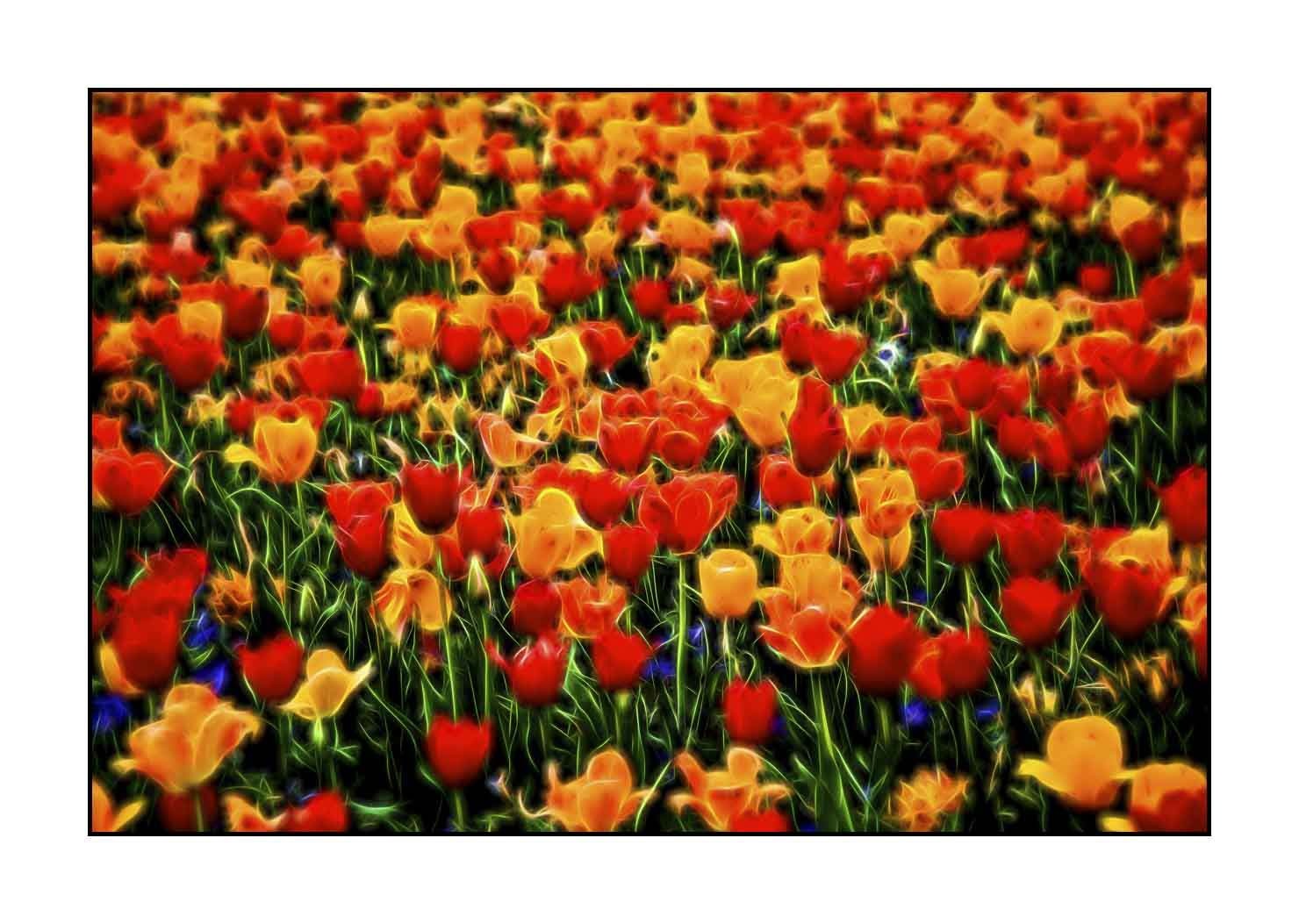 fusion/005-le-printemps/fr/02-le-printemps-en-fusion-1902-32F