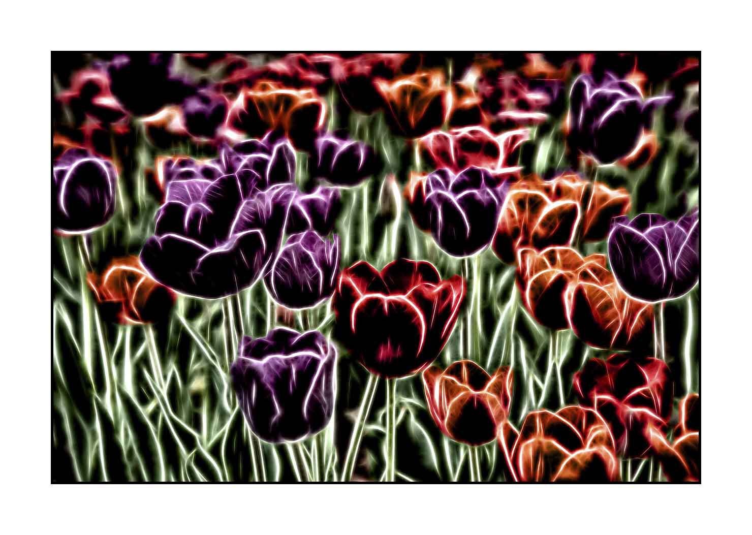 fusion/005-le-printemps/fr/03-le-printemps-en-fusion-1903-32F