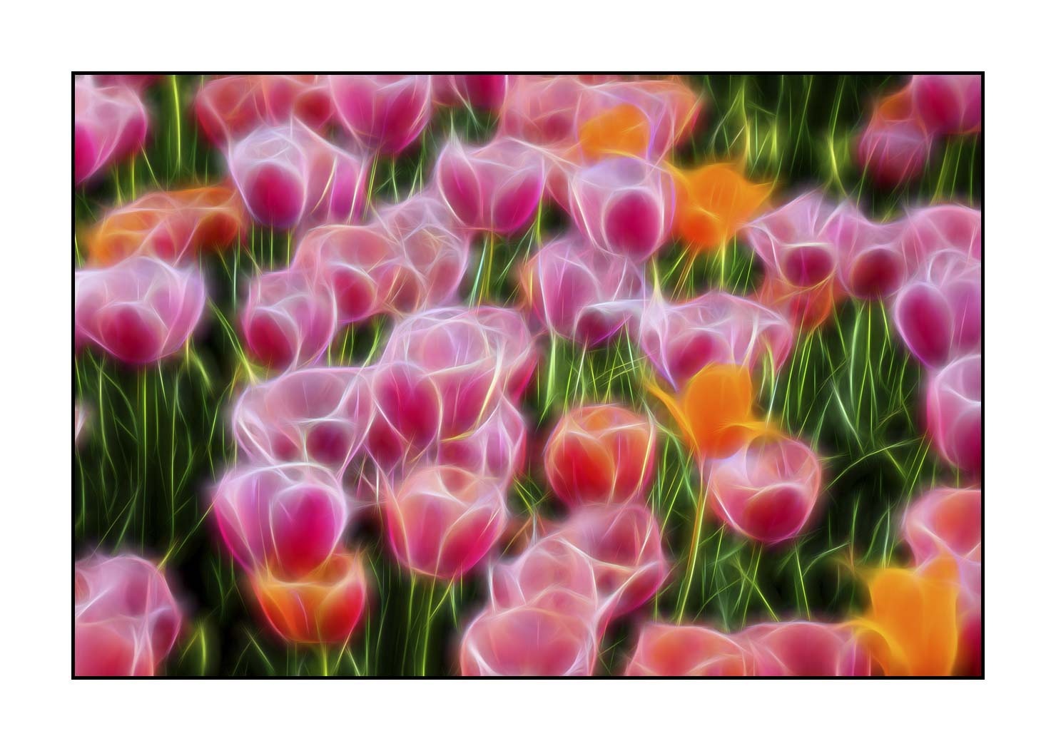 fusion/005-le-printemps/fr/04-le-printemps-en-fusion-1904-32F