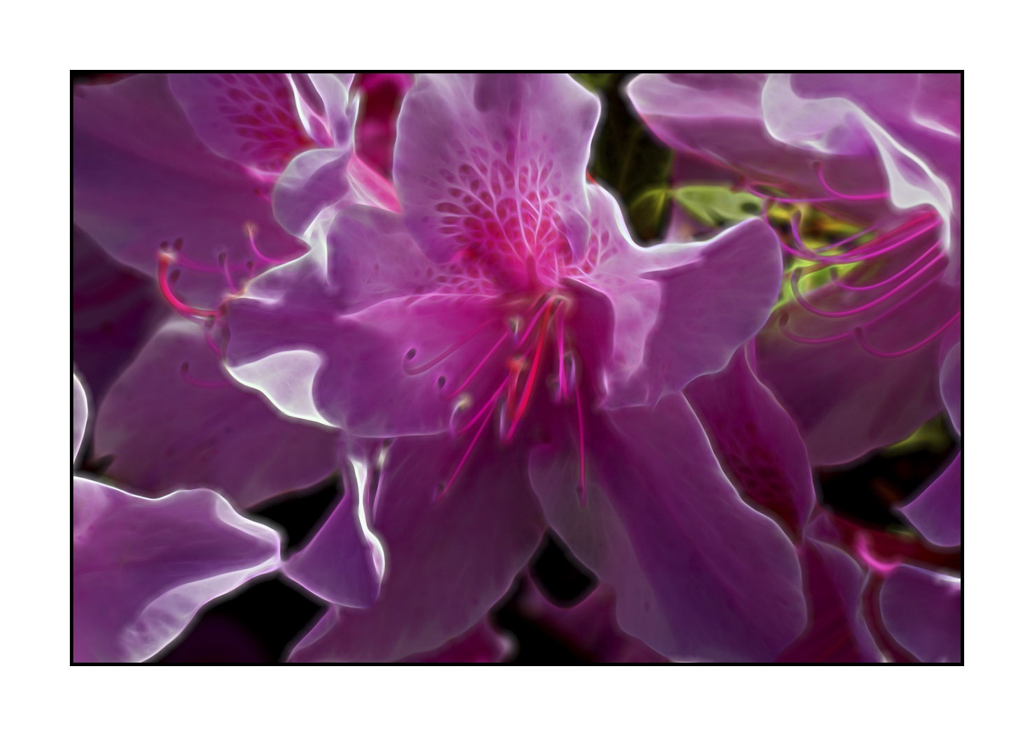fusion/005-le-printemps/fr/06-le-printemps-en-fusion-1906-32F