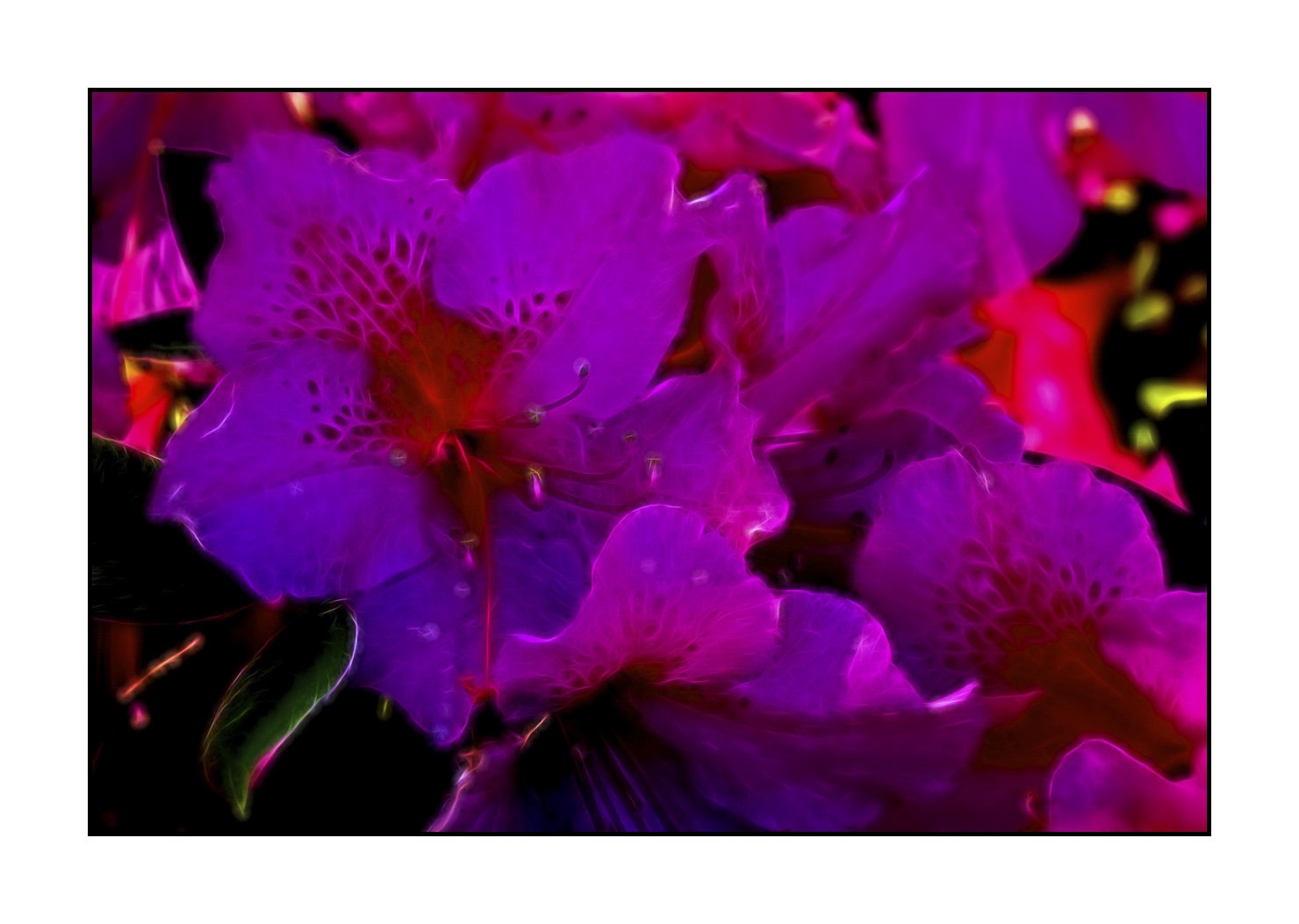 fusion/005-le-printemps/fr/07-le-printemps-en-fusion-1907-32F