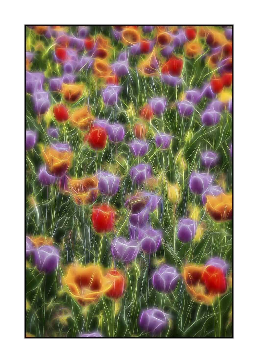 fusion/005-le-printemps/fr/10-le-printemps-en-fusion-1910-32F