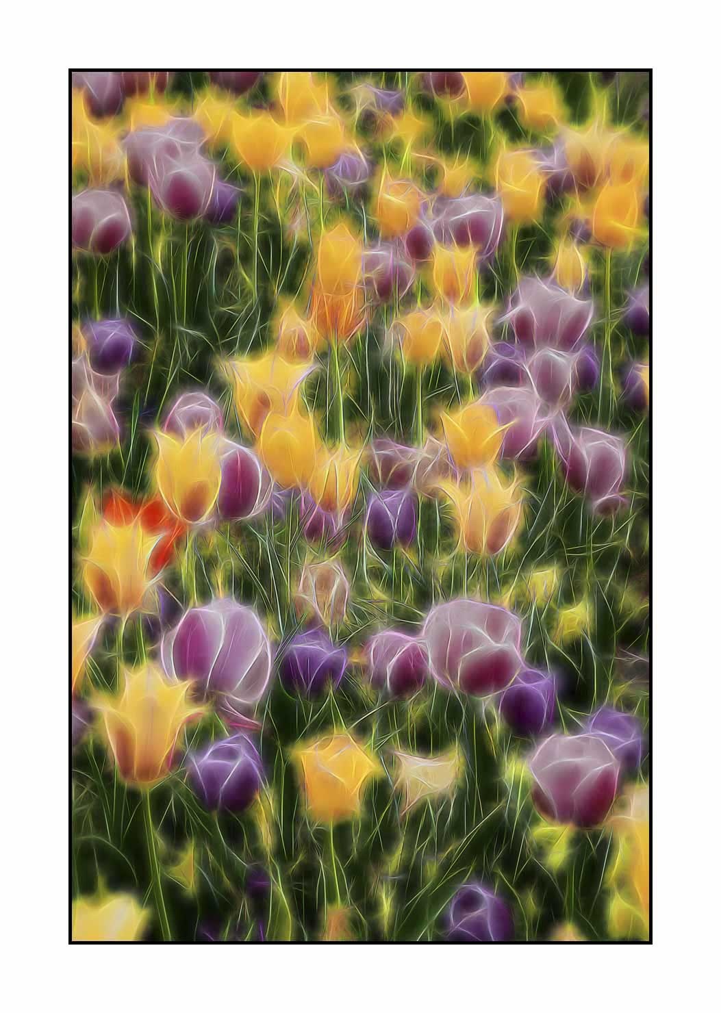 fusion/005-le-printemps/fr/11-le-printemps-en-fusion-1911-32F