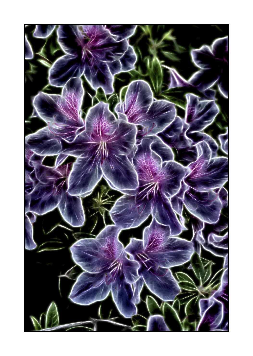 fusion/005-le-printemps/fr/12-le-printemps-en-fusion-1912-32F