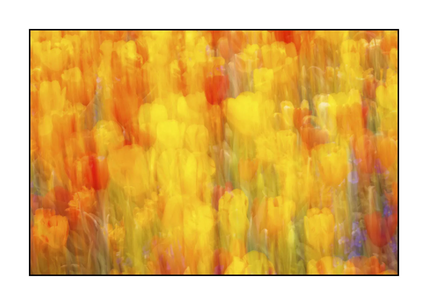 impression/005-impressions-du-printemps/en/03-impression-of-spring-1915-32I