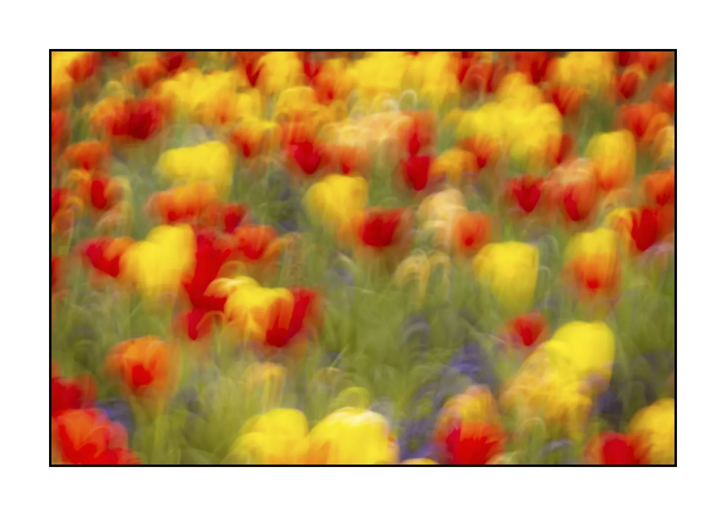 impression/005-impressions-du-printemps/en/05-impression-of-spring-1917-32I