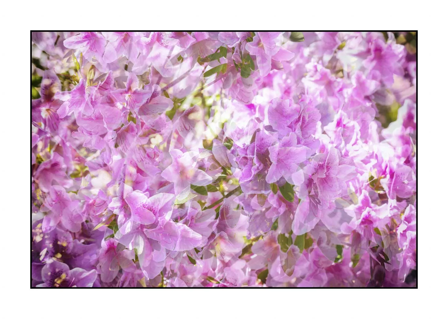 impression/005-impressions-du-printemps/en/06-impression-of-spring-1918-32I