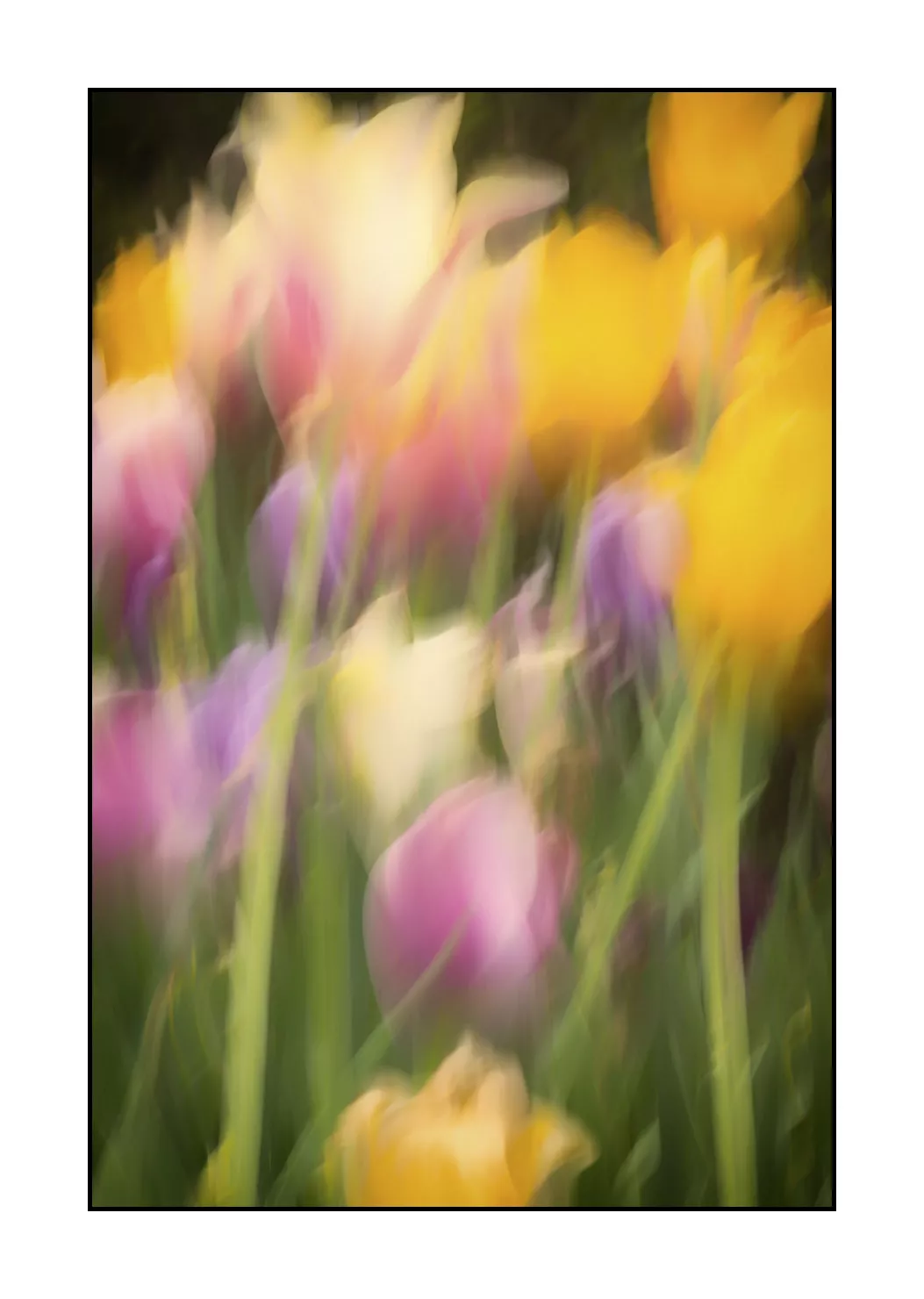 impression/005-impressions-du-printemps/en/08-impression-of-spring-1920-32I