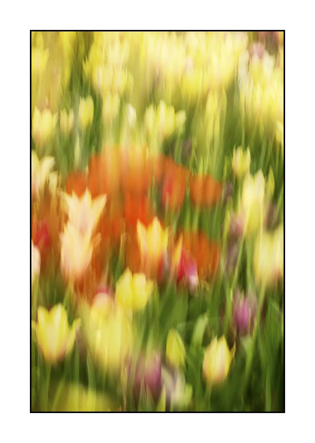 impression/005-impressions-du-printemps/en/11-impression-of-spring-1923-32I