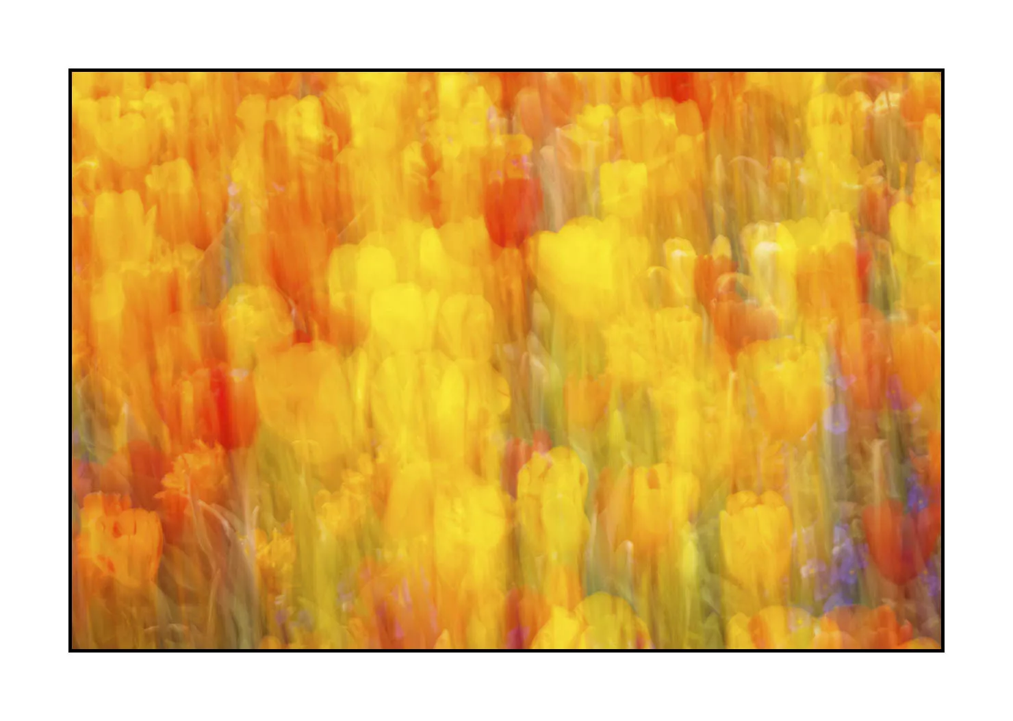 impression/005-impressions-du-printemps/fr/03-impression-du-printemps-1915-32I