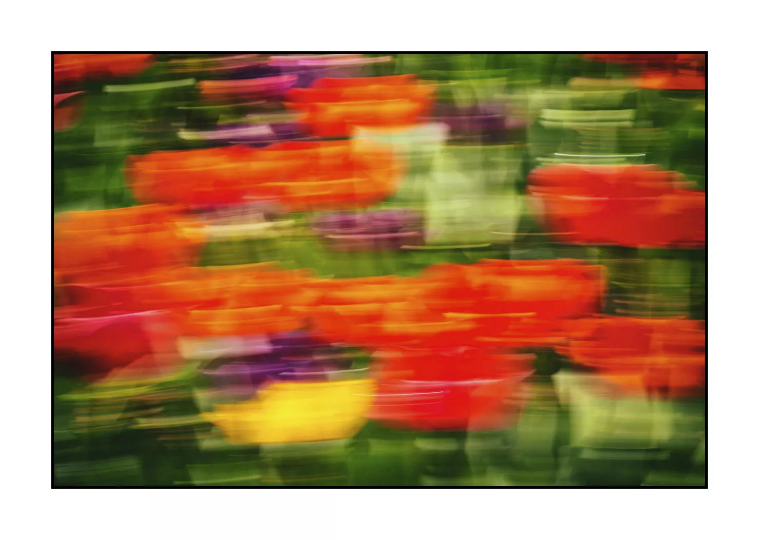 impression/005-impressions-du-printemps/fr/04-impression-du-printemps-1916-32I