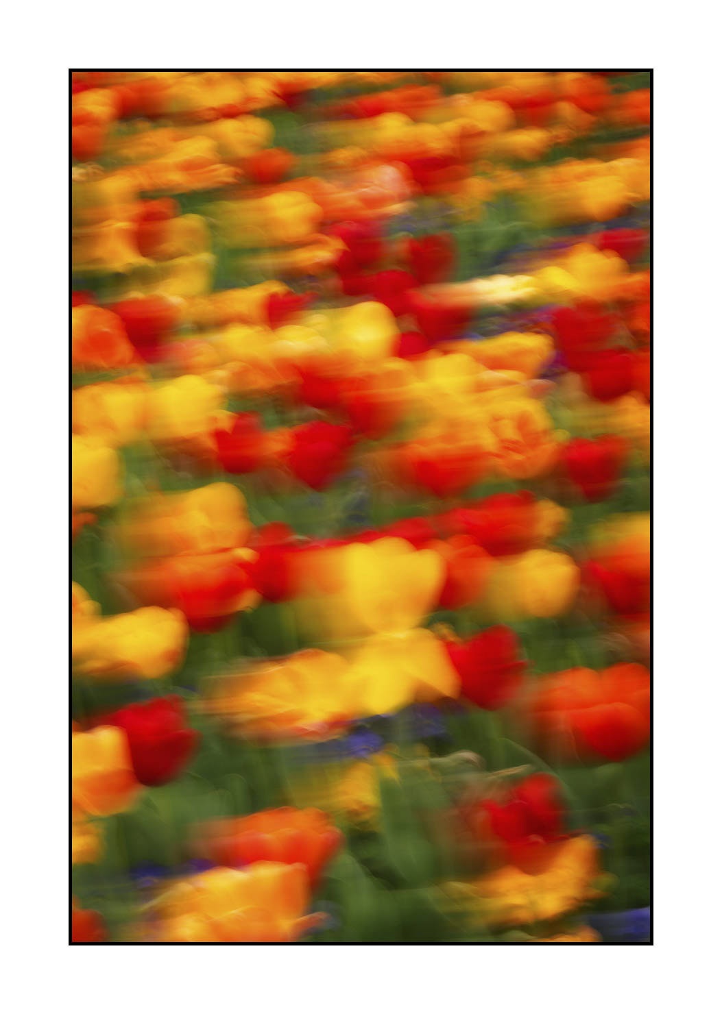impression/005-impressions-du-printemps/fr/09-impression-du-printemps-1921-32I