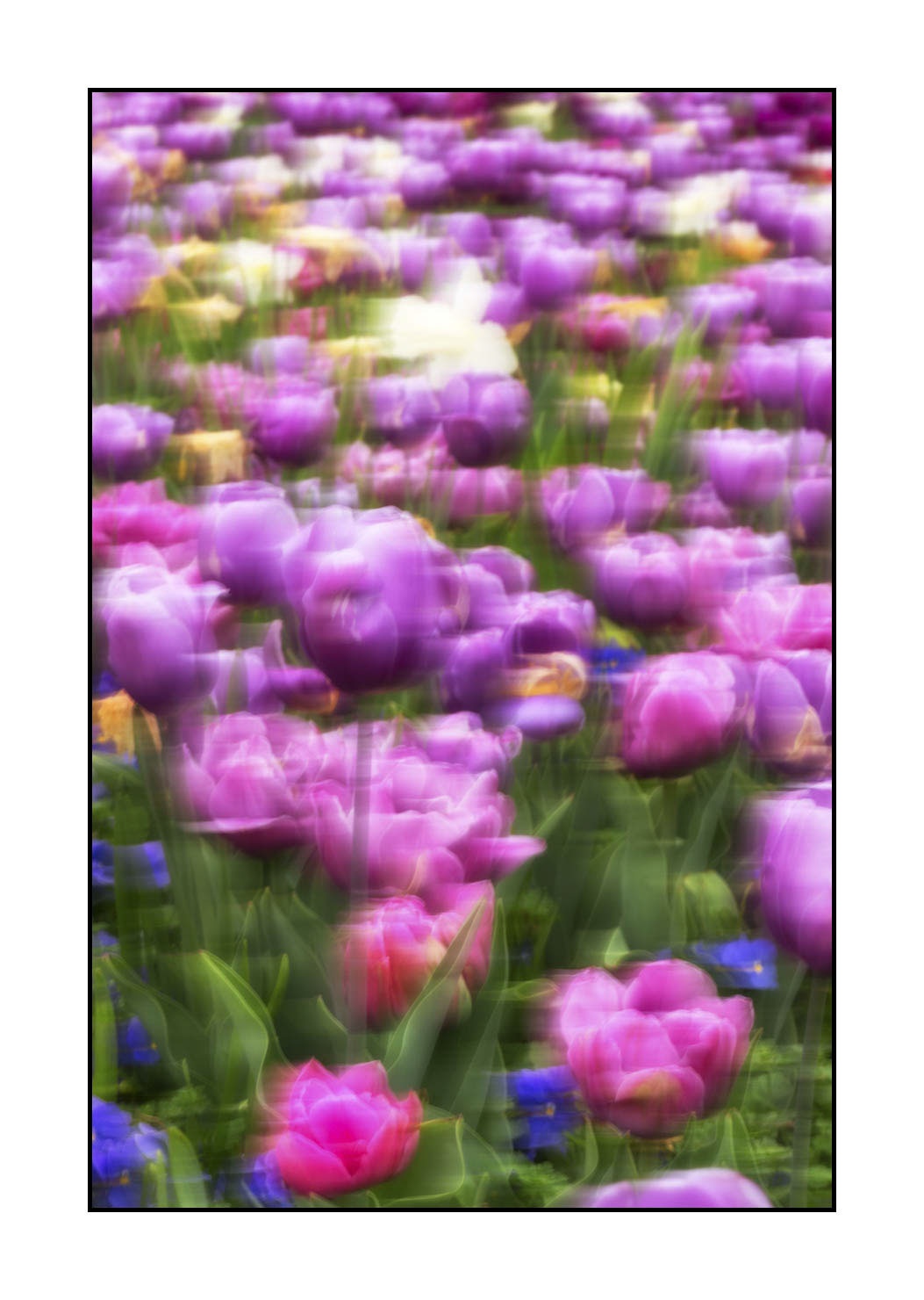 impression/005-impressions-du-printemps/fr/10-impression-du-printemps-1922-32I