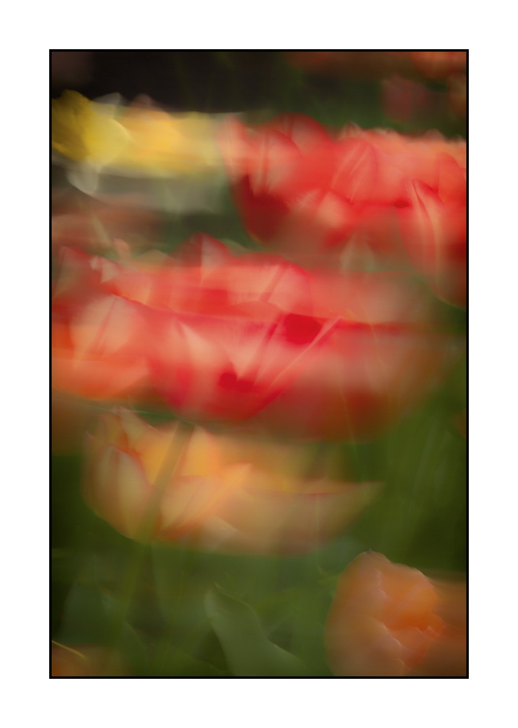 impression/005-impressions-du-printemps/fr/12-impression-du-printemps-1924-32I