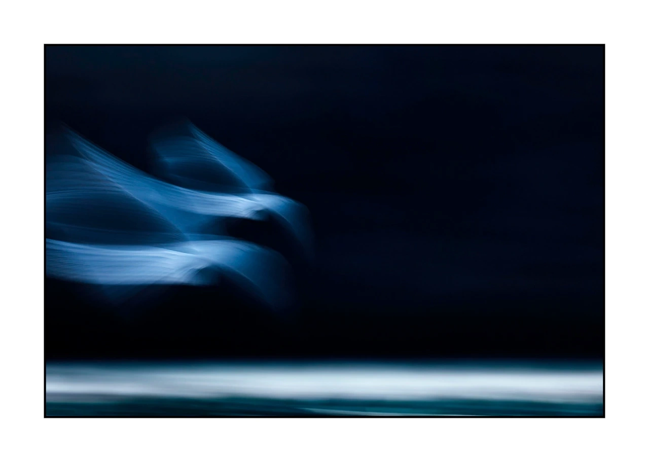 impression/008-impressions-d-oiseaux/edition-limitee/en/06-bird-dombes-blurry-ICM-2459-32I