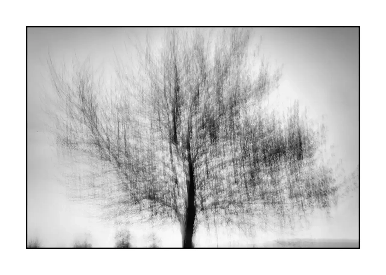 impression/011-murmures-du-temps/en/06-tree-black-and-white-blurry-2324-32I