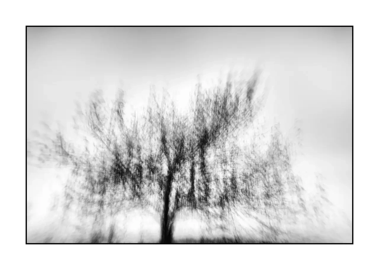 impression/011-murmures-du-temps/fr/05-arbre-en-noir-et-blanc-flou-style-impression-2323-32I