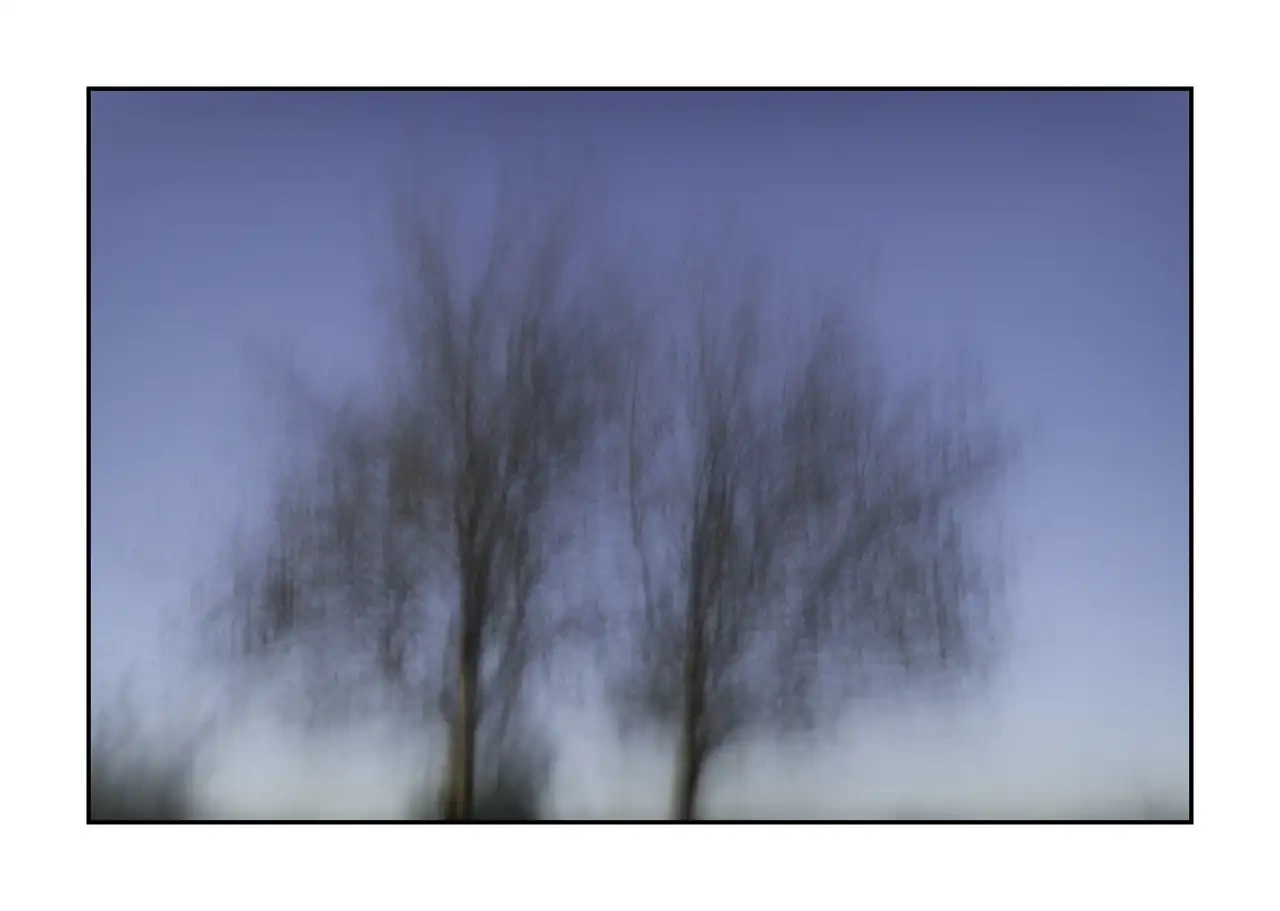 impression/012-les-arbres-deviennent-murmures/en/03-tree-color-blurry-2327-32I