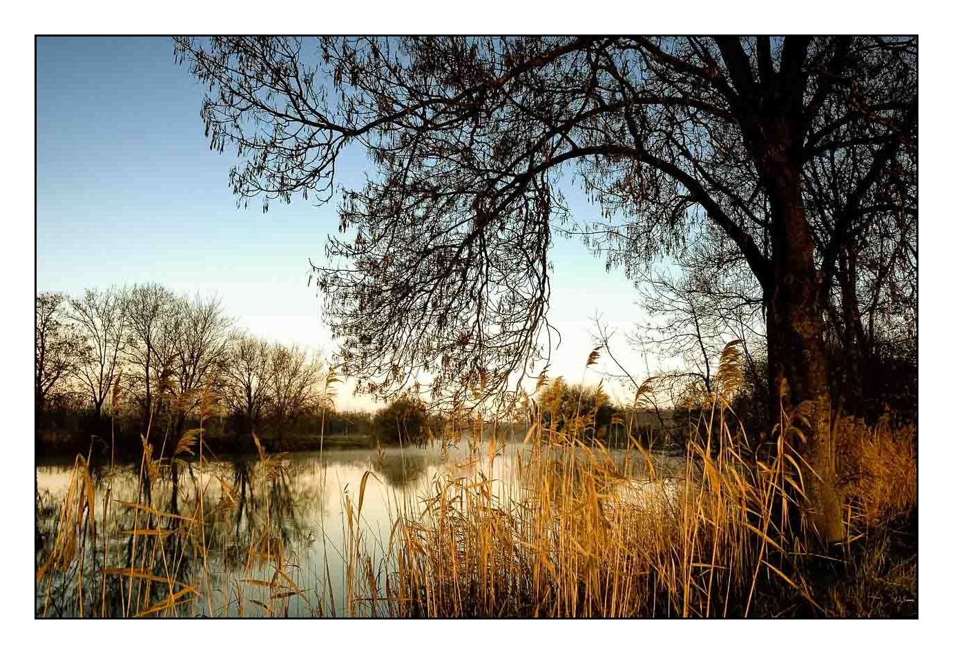 lumieres-et-couleurs/001-merveilles-naturelles-de-la-haute-saintonge/edition-limitee/en/07-120701FRAHST-ROUFFIACHD07