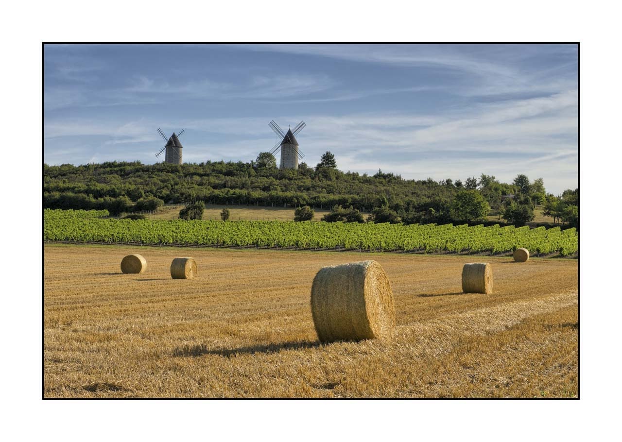 lumieres-et-couleurs/001-merveilles-naturelles-de-la-haute-saintonge/edition-ouverte/fr/edition-ouverte-81-32C