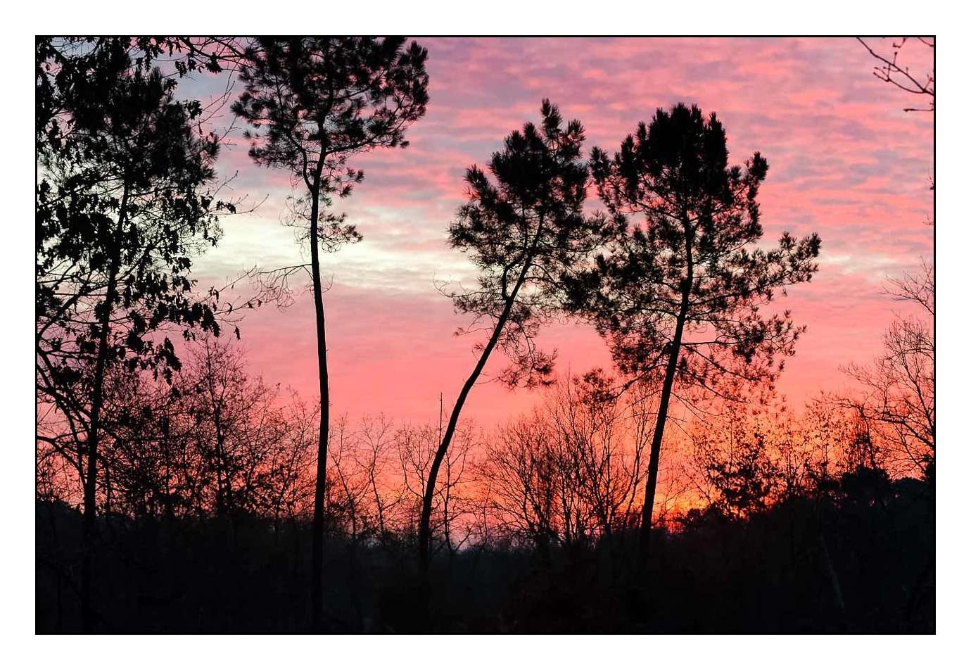 lumieres-et-couleurs/001-merveilles-naturelles-de-la-haute-saintonge/en/08-120701FRAHST0333