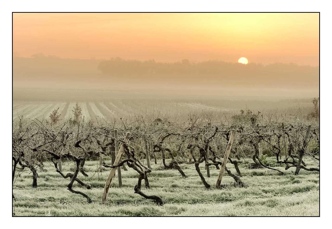 lumieres-et-couleurs/001-merveilles-naturelles-de-la-haute-saintonge/fr/10-120701FRAHST0232