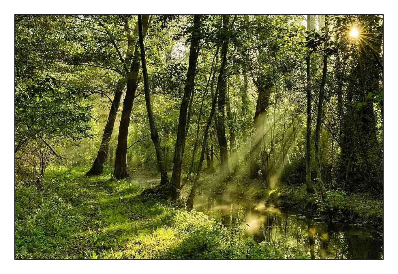 lumieres-et-couleurs/001-merveilles-naturelles-de-la-haute-saintonge/fr/11-120701FRAHST-LESAPHD02