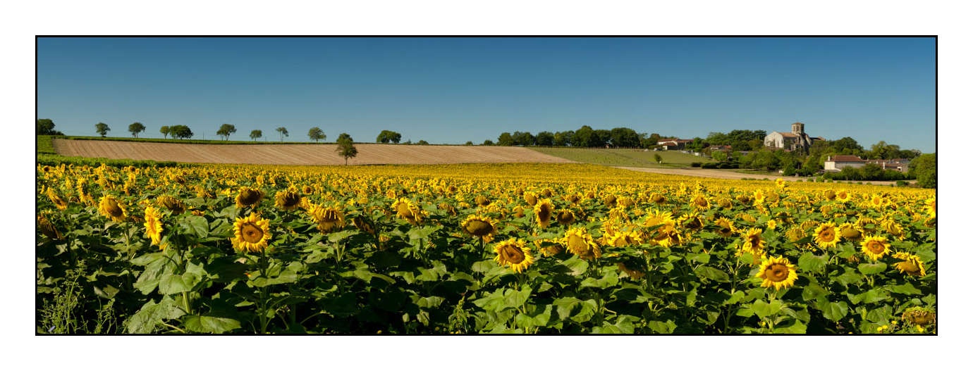 lumieres-et-couleurs/003-haute-saintonge-panoramique/fr/01-120701FRAHST-ARCHIACPA02