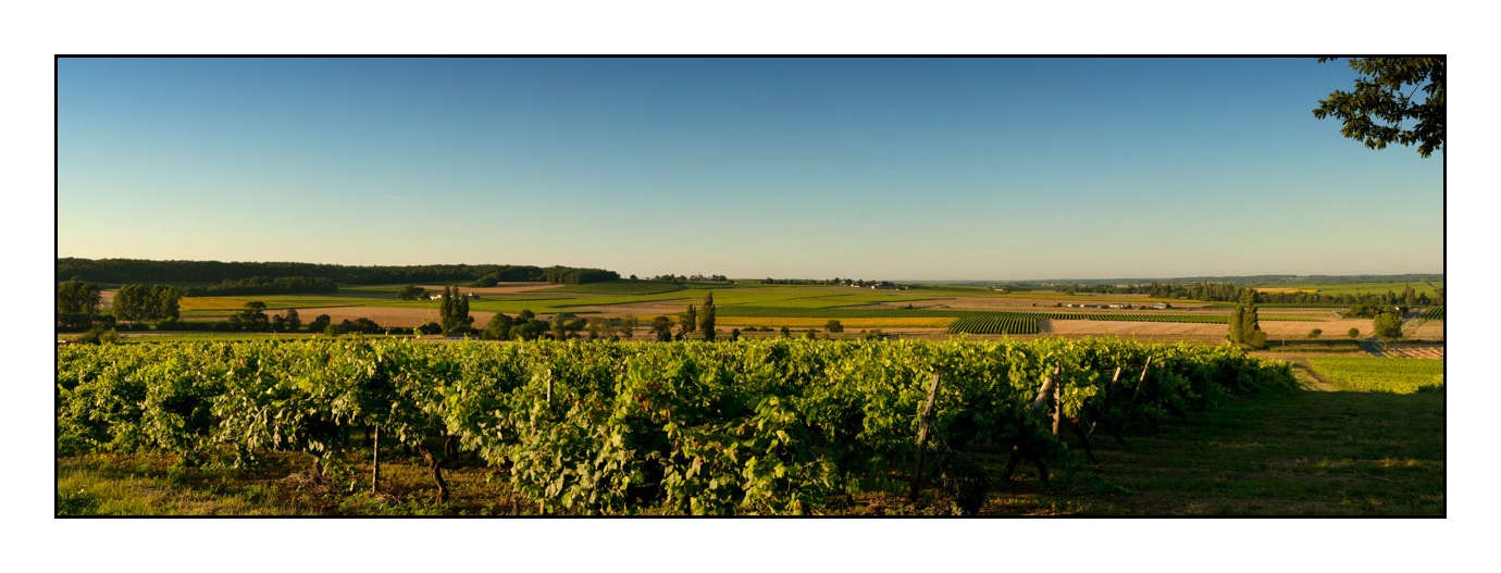 lumieres-et-couleurs/003-haute-saintonge-panoramique/fr/02-120701FRAHST-ARCHIACPA03
